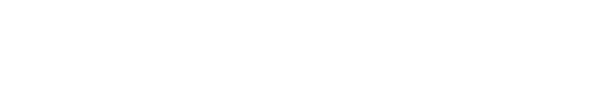 Plus Fitness